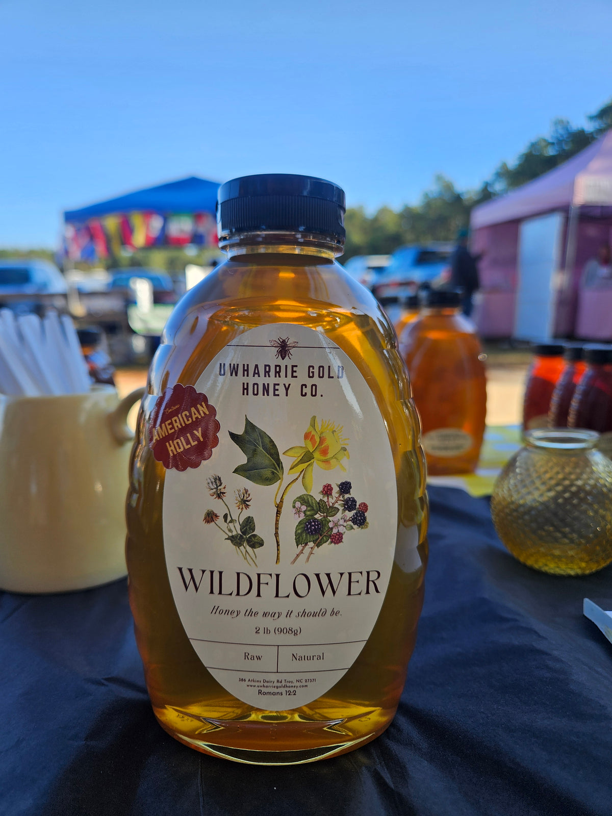 Holly Wildflower