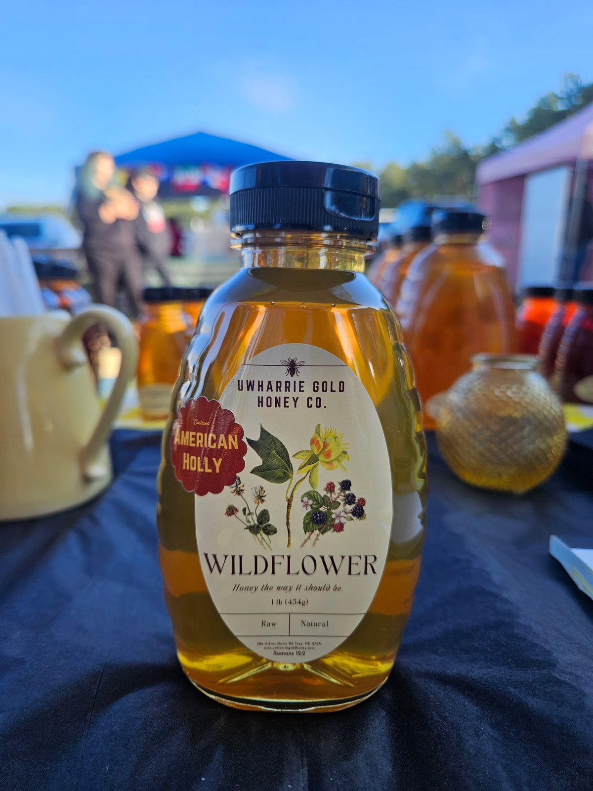 Holly Wildflower